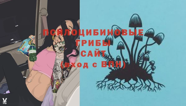 бутират Алзамай